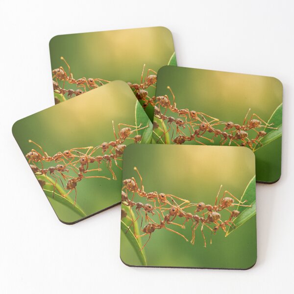Item preview, Title Ant Bridge: Synergy in Motion designed and sold by Twala Creative Studio.
