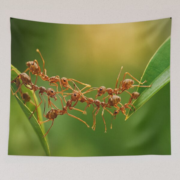 Item preview, Title Ant Bridge: Synergy in Motion designed and sold by Twala Design Co..