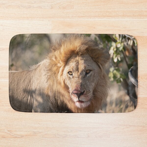 Item preview, Sekoti, Northern Pride — Dust & Blood in Savuti designed and sold by DavideAntoniani.