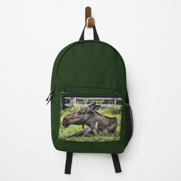 Item preview, Female moose resting designed and sold by Production Art Manon Meilleur.