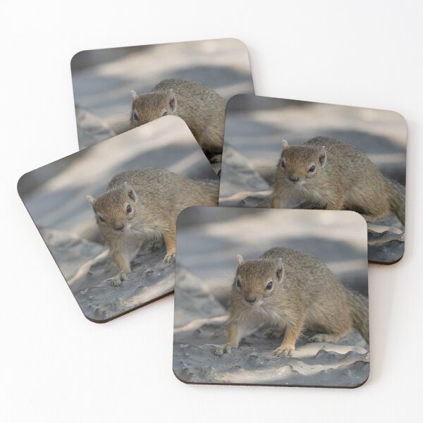 Item preview, Rippled Stone Scout — Bush Squirrel Close-Up, Savuti designed and sold by DavideAntoniani.
