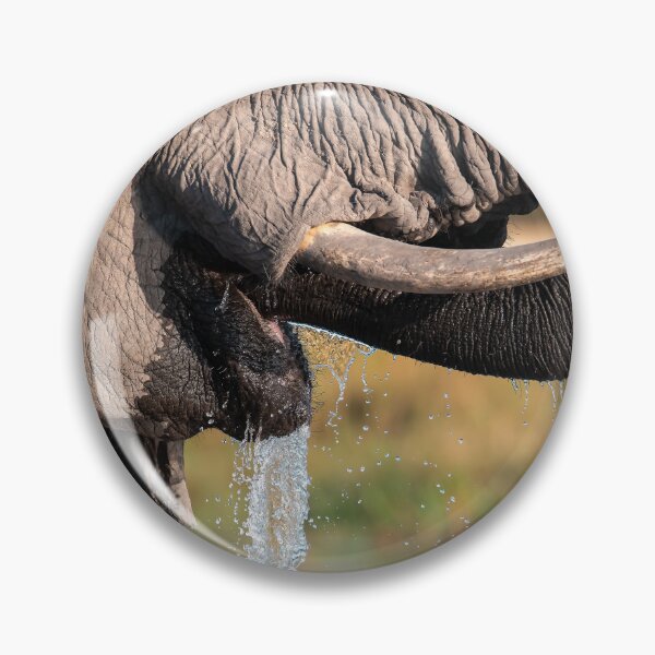 Item preview, Ivory & Splash — Elephant Drinking Close-Up, Etosha designed and sold by DavideAntoniani.