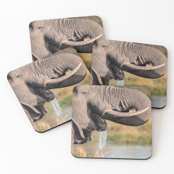 Item preview, Ivory & Splash — Elephant Drinking Close-Up, Etosha designed and sold by DavideAntoniani.