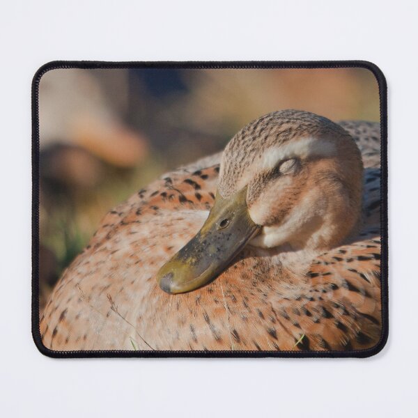 Item preview, A resting duck designed and sold by Production Art Manon Meilleur.