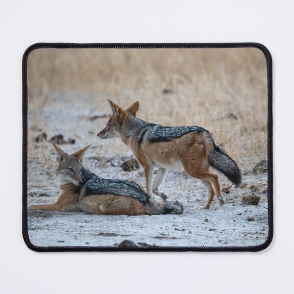 Item preview, Dusk Watch — Black-backed Jackal Pair, Dry Season designed and sold by DavideAntoniani.