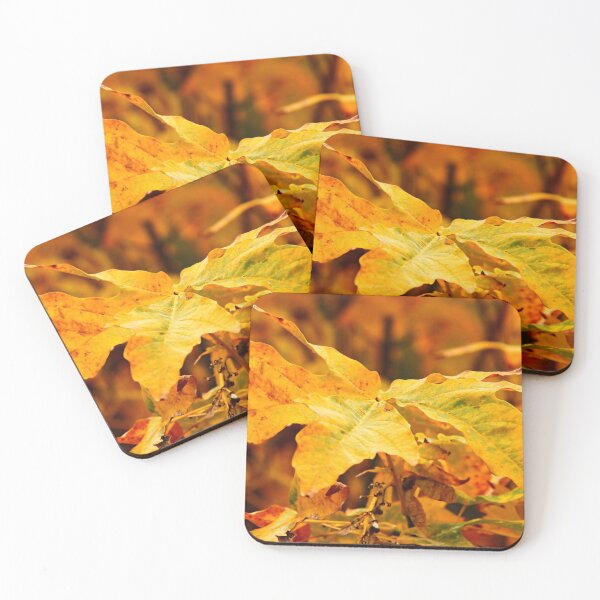 Item preview, Golden Autumn Leaves designed and sold by vernonplatt.