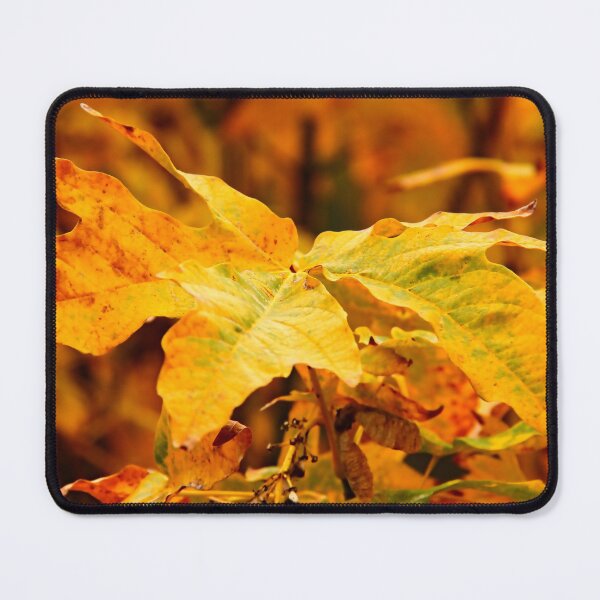 Item preview, Golden Autumn Leaves designed and sold by vernonplatt.