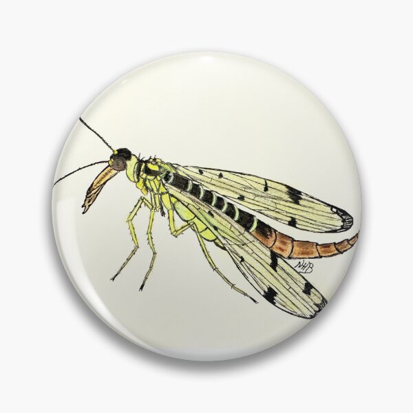 Artikelvorschau, Skorpionsfliege entworfen und verkauft von Thoughtfulbugs.