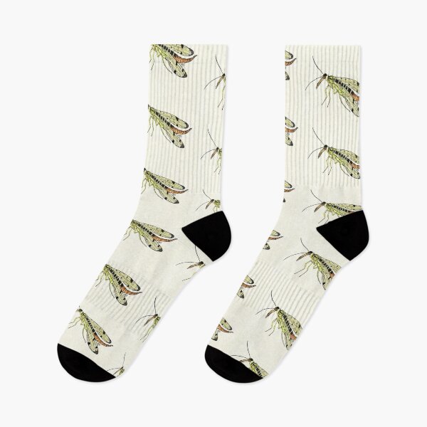 Item preview, Scorpion Fly designed and sold by Thoughtfulbugs.