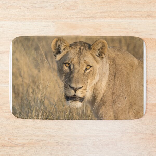 Item preview, Golden Stare — Lioness Close Portrait, Moremi designed and sold by DavideAntoniani.