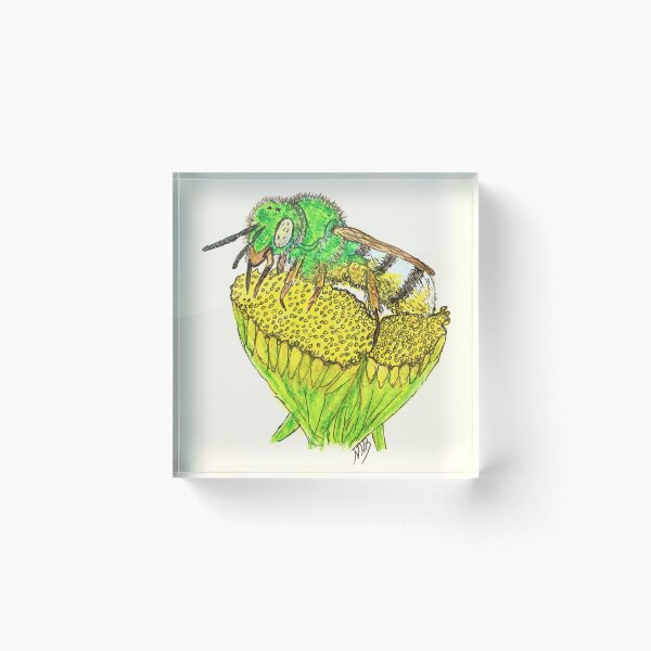 Item preview, A green metallic sweat-bee drunk on pollen designed and sold by Thoughtfulbugs.