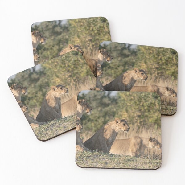 Item preview, The Silent Line — Lionesses Before the Hunt, Moremi designed and sold by DavideAntoniani.