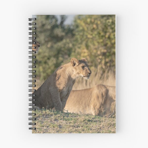 Item preview, The Silent Line — Lionesses Before the Hunt, Moremi designed and sold by DavideAntoniani.