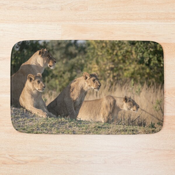 Item preview, The Silent Line — Lionesses Before the Hunt, Moremi designed and sold by DavideAntoniani.