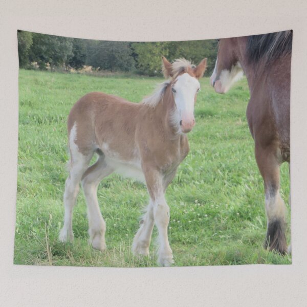 Item preview, Foal designed and sold by Margarite H.