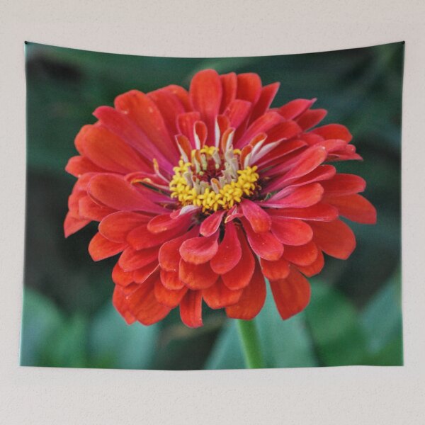 Item preview, Flora designed and sold by Steve McKinnis.