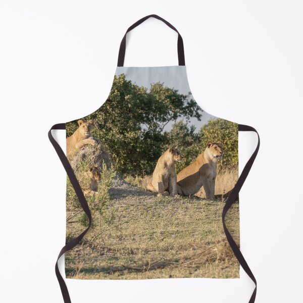 Item preview, Mound Council — Lioness Coalition at Golden Hour, Moremi designed and sold by DavideAntoniani.