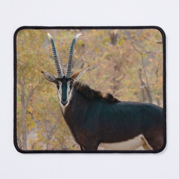 Item preview, Ink & Ivory — Sable Antelope Portrait designed and sold by DavideAntoniani.