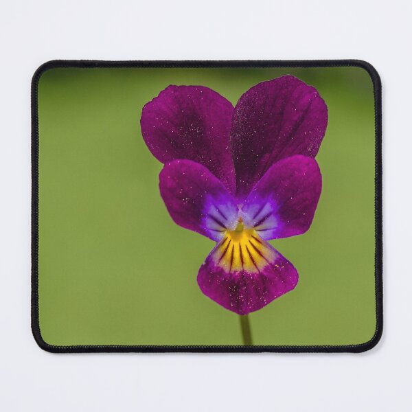 Item preview, Mini wild violet designed and sold by Production Art Manon Meilleur.