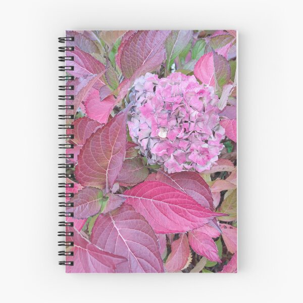 Item preview, Autumnal pink hydrangeas photograph  designed and sold by esvb.