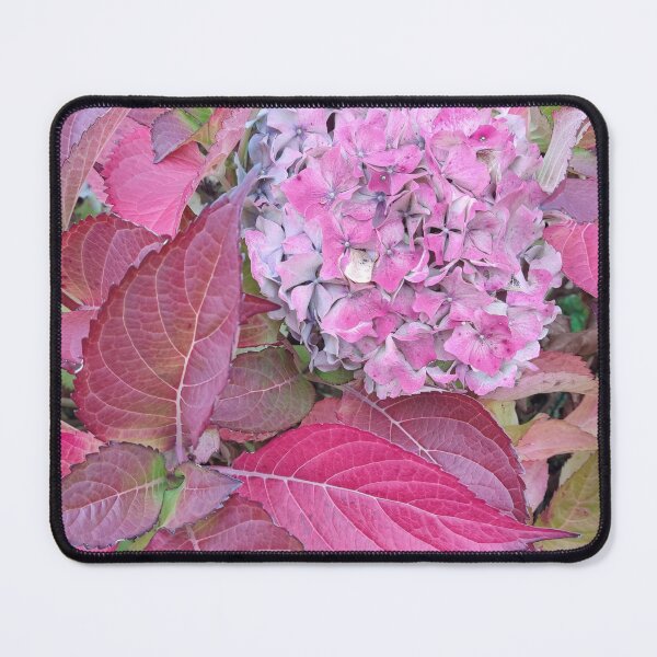 Item preview, Autumnal pink hydrangeas photograph  designed and sold by esvb.