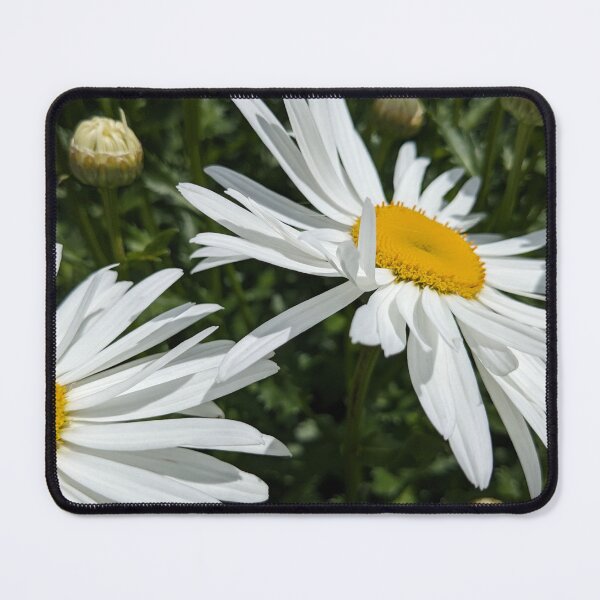 Item preview, Shasta Daisy Flowers designed and sold by BlossomingHope.