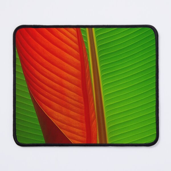 Item preview, The Birth of a Leaf designed and sold by Roland Keates aka Lost Histories .
