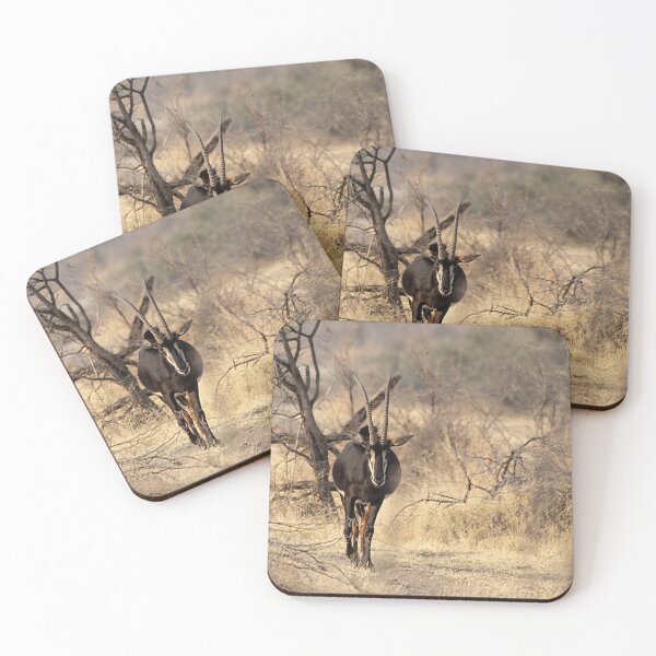 Item preview, Between Thorns — Sable Antelope on the Path designed and sold by DavideAntoniani.