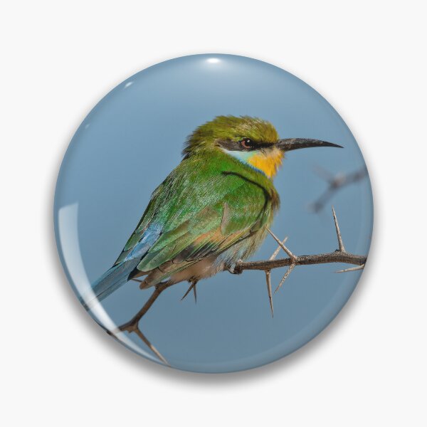 Item preview, Soft Among Thorns — Bee‑eater on a Blue Sky designed and sold by DavideAntoniani.