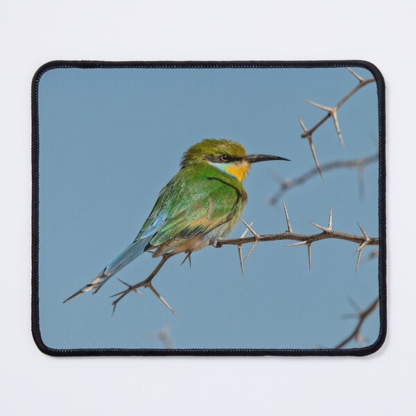 Item preview, Soft Among Thorns — Bee‑eater on a Blue Sky designed and sold by DavideAntoniani.