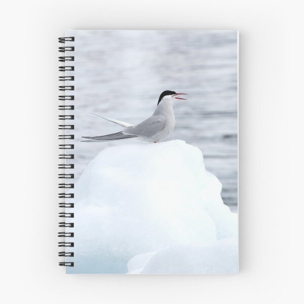 Item preview, Hello Out There! designed and sold by Marylou Badeaux.