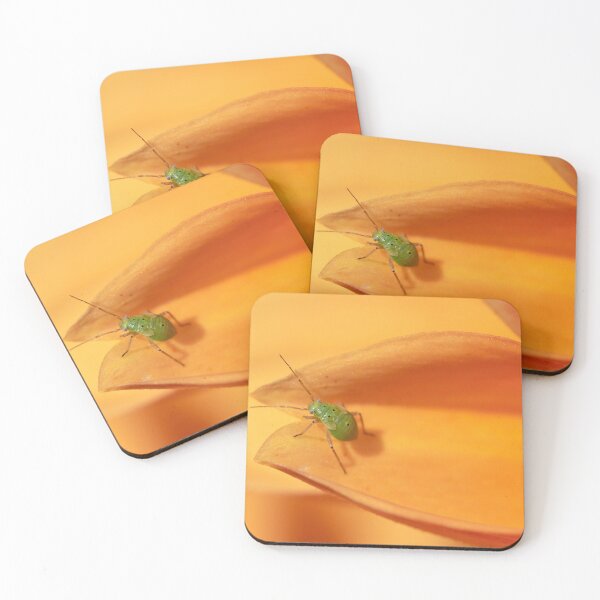 Item preview, green insect on an orange dalhia designed and sold by isabel poulin.