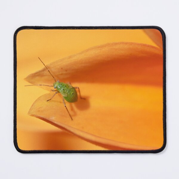 Item preview, green insect on an orange dalhia designed and sold by isabel poulin.