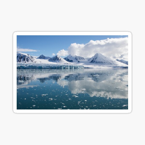 Arctic Beauty Sticker