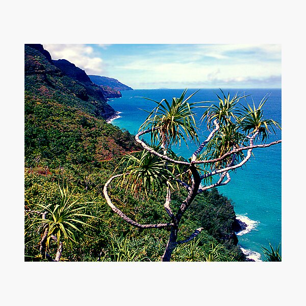 Item preview, Na Pali Coast Trail  designed and sold by kevin smith  skystudiohawaii.