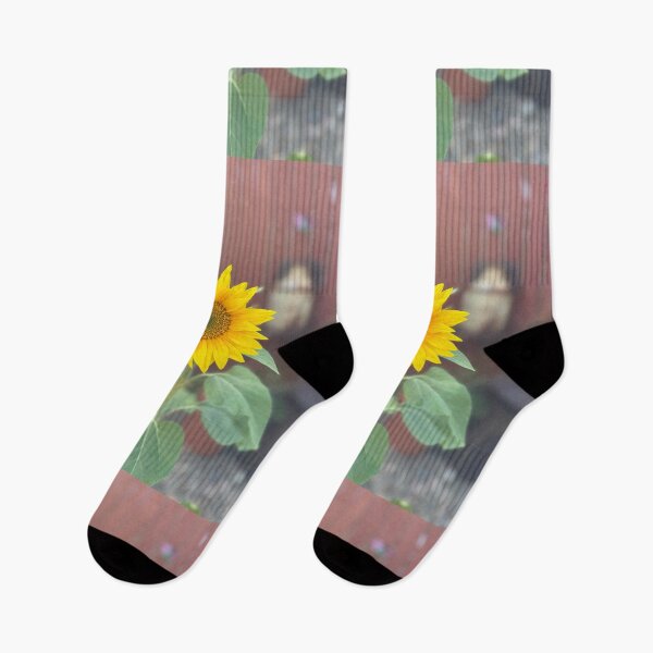 Item preview, “Sunlit Sunflower with Rustic Background” designed and sold by TrisaThyme.