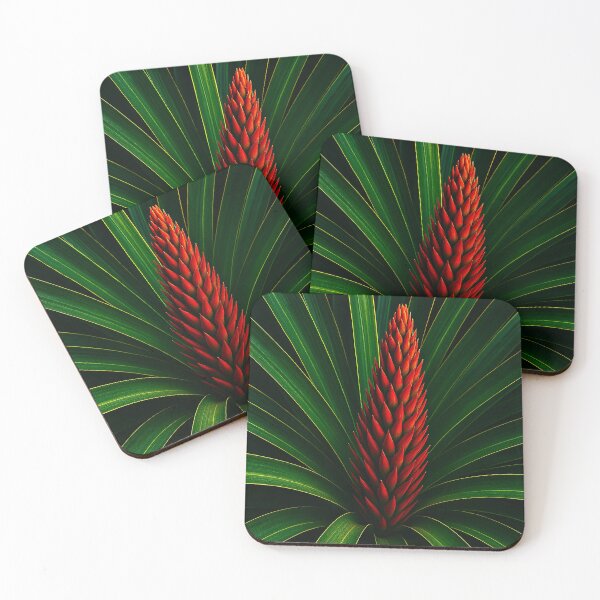 Item preview, Heart of the Tropics: The Flame of the Bromeliad designed and sold by Roland Keates aka Lost Histories .