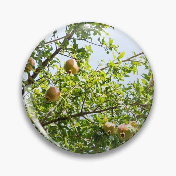 Item preview, Sunlit Treetop with Sweet Ripe Pomegranates designed and sold by Georgia Mizuleva.