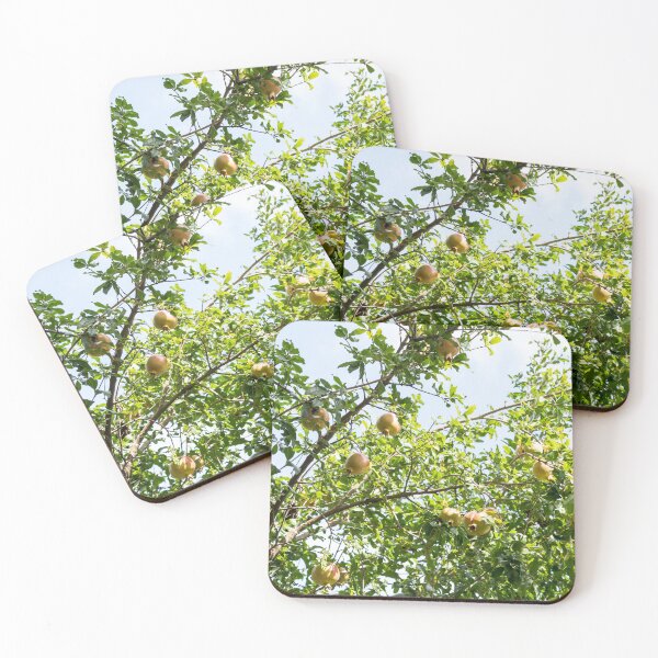 Item preview, Sunlit Treetop with Sweet Ripe Pomegranates designed and sold by Georgia Mizuleva.