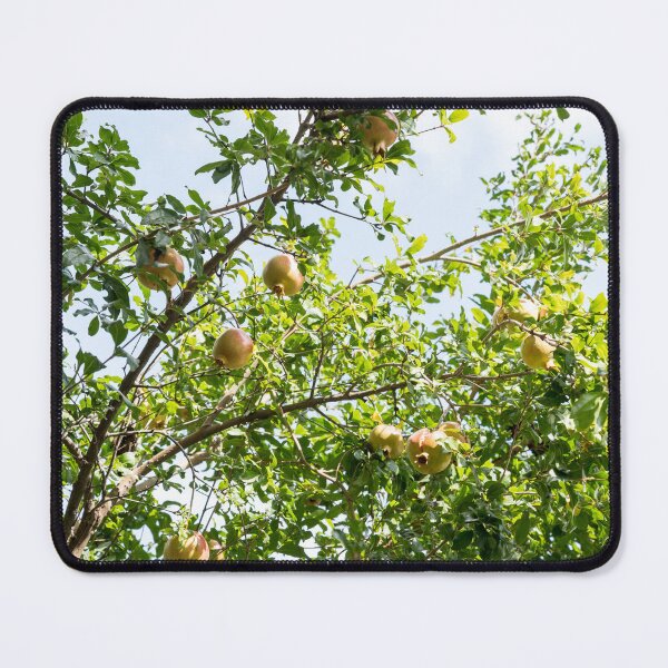 Item preview, Sunlit Treetop with Sweet Ripe Pomegranates designed and sold by Georgia Mizuleva.