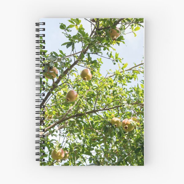 Item preview, Sunlit Treetop with Sweet Ripe Pomegranates designed and sold by Georgia Mizuleva.