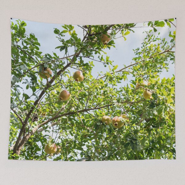 Item preview, Sunlit Treetop with Sweet Ripe Pomegranates designed and sold by Georgia Mizuleva.