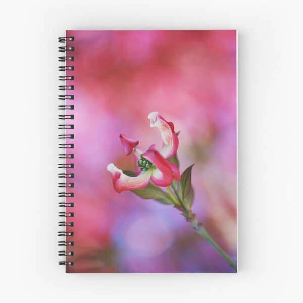 Item preview, Pink Soft Dogwood Flower designed and sold by Joy Watson - Natural Light Photography .