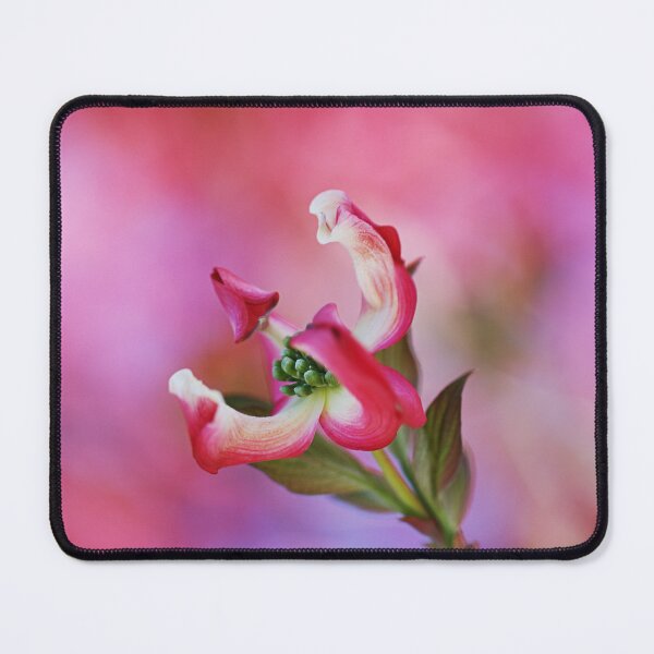 Item preview, Pink Soft Dogwood Flower designed and sold by Joy Watson - Natural Light Photography .