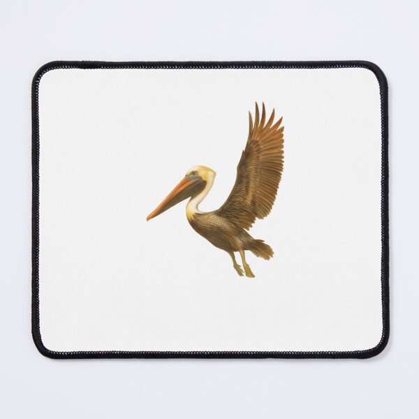 Item preview, Brown Pelican (Pelecanus occidentalis) designed and sold by HOMETOWN86.