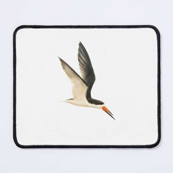 Item preview, Black Skimmer (Rynchops niger) designed and sold by HOMETOWN86.