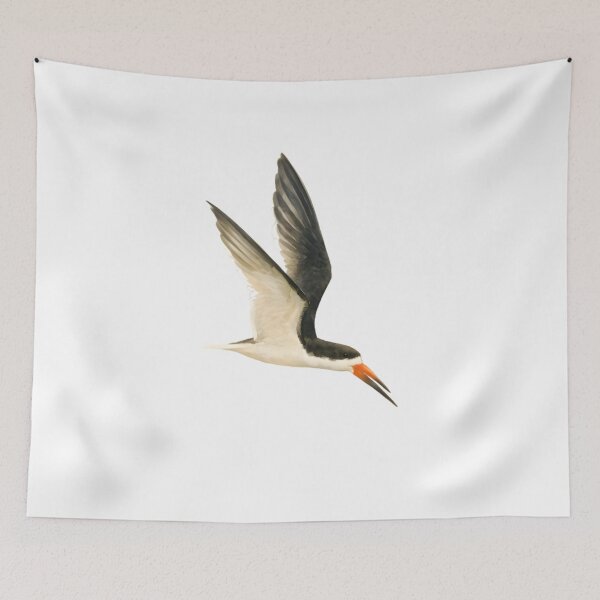 Item preview, Black Skimmer (Rynchops niger) designed and sold by HOMETOWN86.