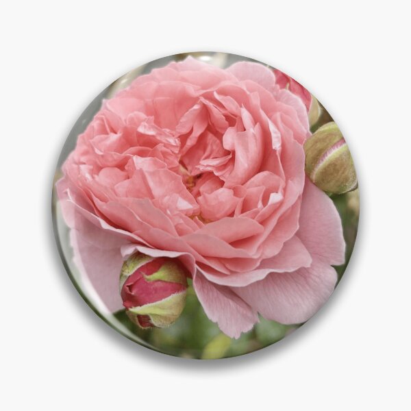Item preview, Strawberries to Heaven! designed and sold by Rambling Rose Studios GB (RRSGB).