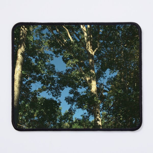 Item preview, Sunlight Pattern on Oak Trunk designed and sold by gistinker.