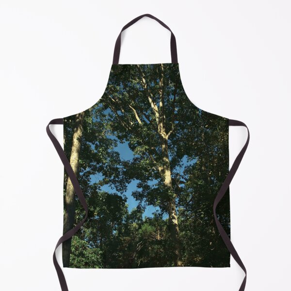 Item preview, Sunlight Pattern on Oak Trunk designed and sold by gistinker.